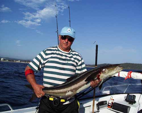 Paulcobia24112001a