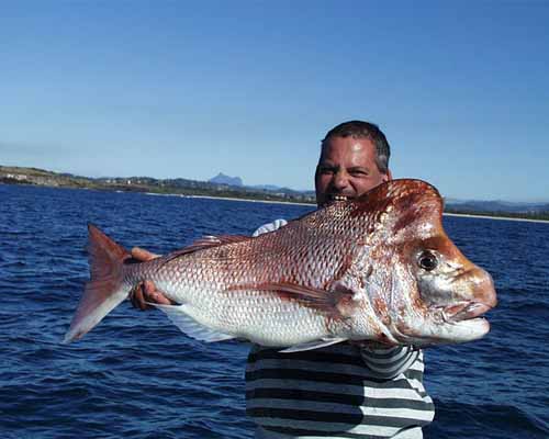 dadsnapper07072002g
