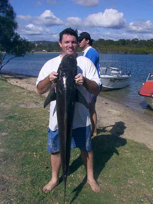 heathcobia1