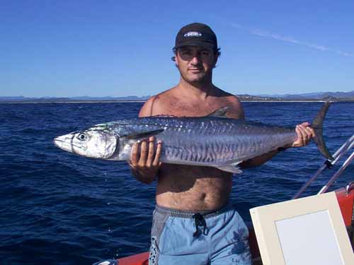robspaniard10022002
