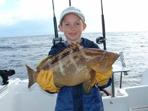 brandoncod29082003