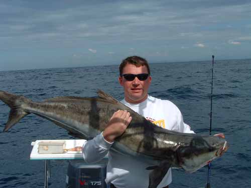 ryancobia29082003