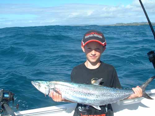 brandonspot09042004