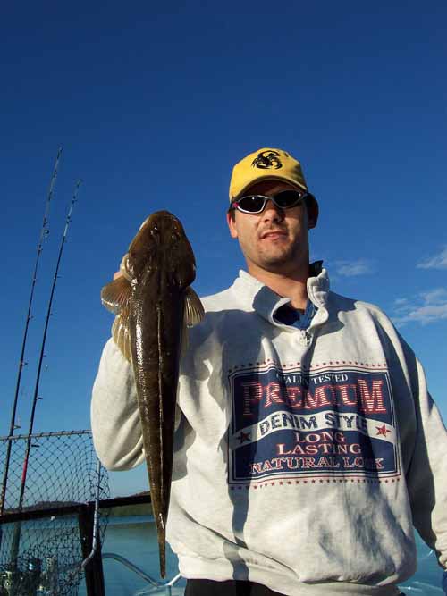 laithflathead04072004b