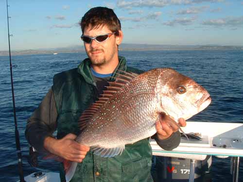 laithsnapper17072004a