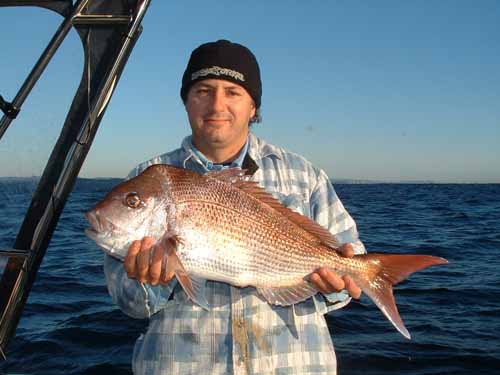robsnapper31072004b