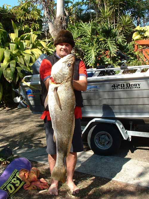 willojew36lb10082004