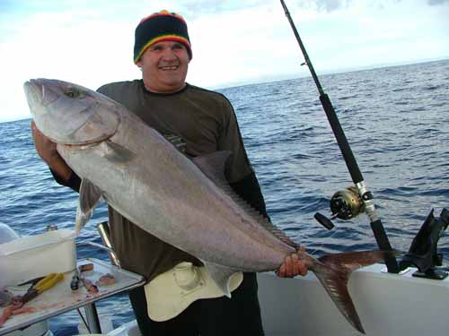 willoamberjack05062005c