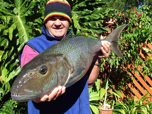 willojobfish03062005a