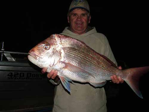 willosnapper18062005